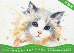 日本短尾猫为什么会发出咕噜咕噜的声音？